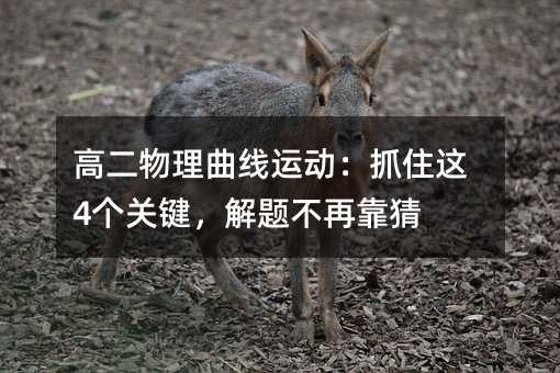 �߶����������\�ӣ�ץס�@4���P�I�����}���ٿ���