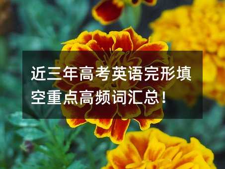 ������߿�Ӣ�Z����������c���l�~�R����