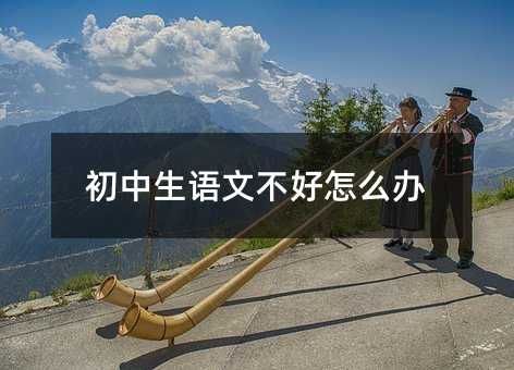 初中生語文不好怎么辦