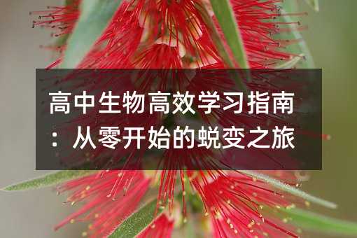 高中生物高效學習指南:從零開始的蛻變之旅