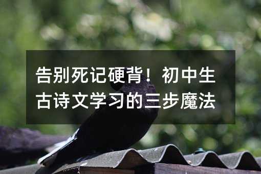 ��e��ӛӲ������������Ԋ�ČW��������ħ��