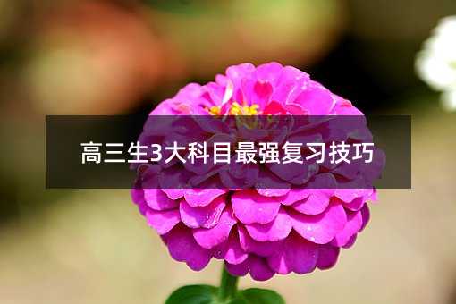 ������3���Ŀ���������