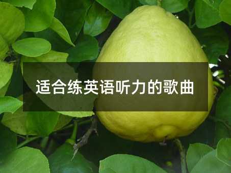 適合練英語聽力的歌曲