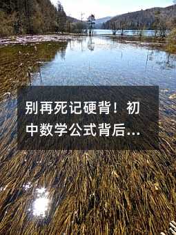 別再死記硬背!初中數學公式背后的秘密,99%的學生都忽略了