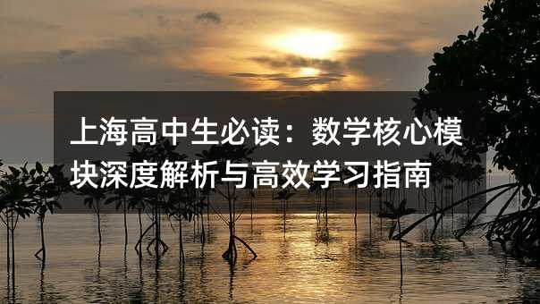 上海高中生必讀:數(shù)學(xué)核心模塊深度解析與高效學(xué)習(xí)指南