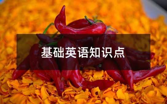 基礎(chǔ)英語(yǔ)知識(shí)點(diǎn)