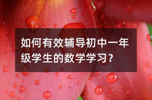 �����Ч�o��(d��o)����һ�꼉�W(xu��)���Ĕ�(sh��)�W(xu��)�W(xu��)��(x��)��