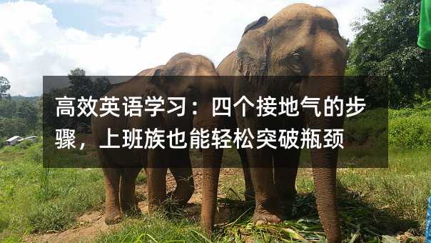 ��ЧӢ�Z�W�����Ă��ӵؚ�Ĳ��E���ϰ���Ҳ���p��ͻ��ƿ�i