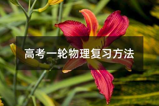 �߿�һ݆�����������