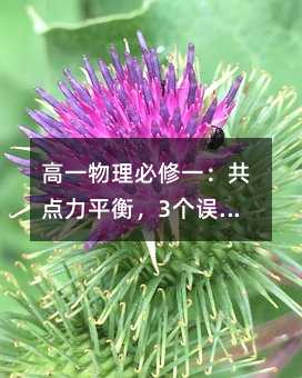 高一物理必修一:共點力平衡,3個誤區(qū)讓你失分!這樣學(xué)秒懂