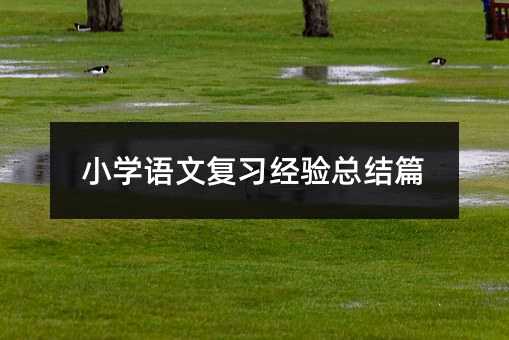 С�W�Z�ď�����򞿂�Yƪ