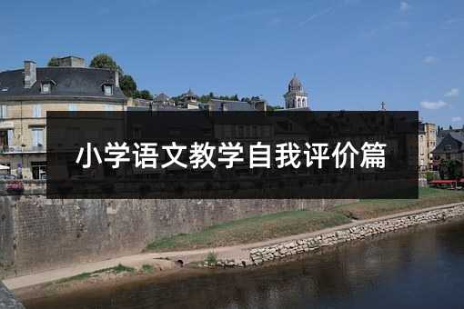 С�W(xu��)�Z(y��)�Ľ̌W(xu��)�����u(p��ng)�r(ji��)ƪ