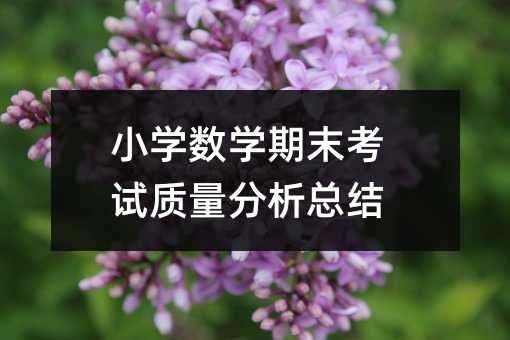 小學(xué)數(shù)學(xué)期末考試質(zhì)量分析總結(jié)