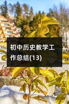 初中歷史教學(xué)工作總結(jié)(13)