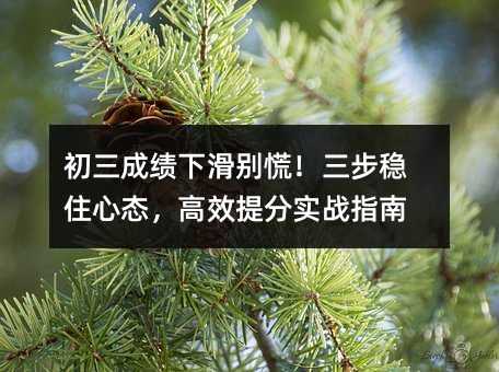 �����ɿ��»��e����������ס�đB����Ч��֌���ָ��