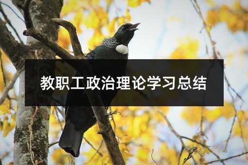 教職工政治理論學習總結