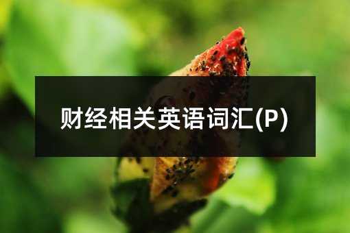 ؔ�����PӢ�Z�~�R(P)