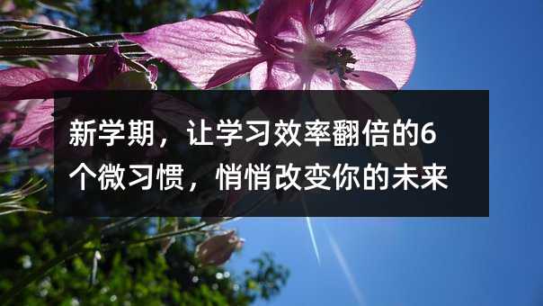 �W(xu��)�ڣ�׌�W(xu��)��(x��)Ч�ʷ�����6��΢��(x��)�T�����ĸ�׃���δ��