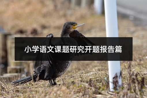 С�W�Z���n�}�о��_�}���ƪ