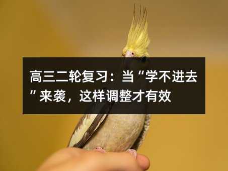 ������݆�����������W���Mȥ�����u���@���{������Ч