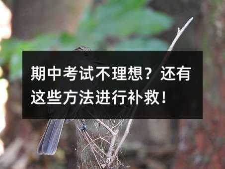 ���п�ԇ�����룿߀���@Щ�����M���a�ȣ�