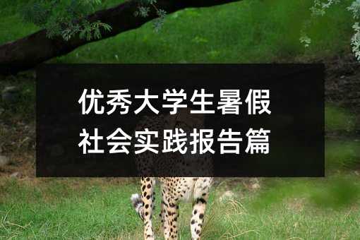 優(yōu)秀大學(xué)生暑假社會(huì)實(shí)踐報(bào)告篇