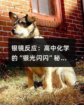 銀鏡反應:高中化學的“銀光閃閃”秘籍,高二必看!