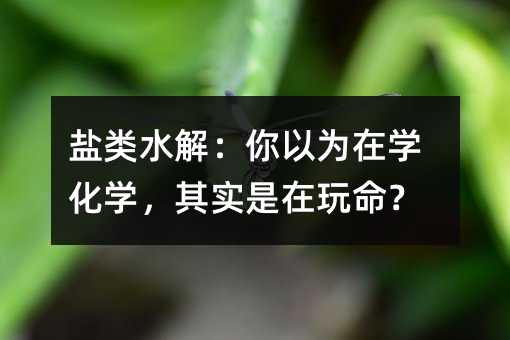 鹽類水解:你以為在學(xué)化學(xué),其實是在玩命?