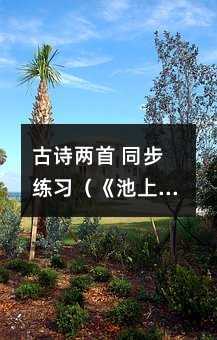 古詩兩首 同步練習(xí)(《池上》《小兒垂釣》)篇