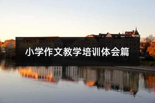 小學作文教學培訓體會篇