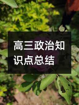 高三政治知識點總結