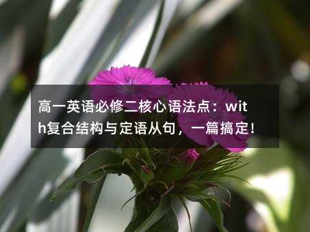 高一英語必修二核心語法點:with復合結構與定語從句,一篇搞定!