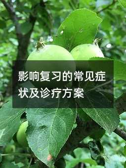 Ӱ푏����ĳ�Ҋ�Y��\������