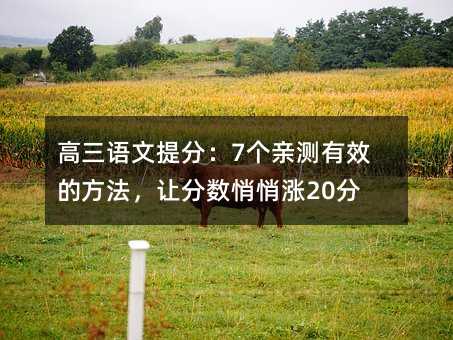 高三語(yǔ)文提分:7個(gè)親測(cè)有效的方法,讓分?jǐn)?shù)悄悄漲20分