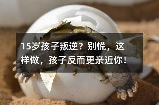 15�q�������棿�e�ţ��@���������ӷ������H���㣡