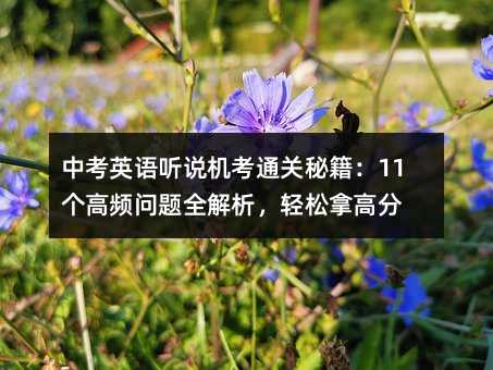 中考英語聽說機考通關秘籍:11個高頻問題全解析,輕松拿高分