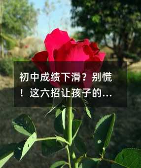 初中成績下滑?別慌!這六招讓孩子的學習重回正軌