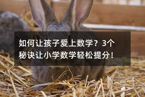 如何讓孩子愛(ài)上數(shù)學(xué)?3個(gè)秘訣讓小學(xué)數(shù)學(xué)輕松提分!
