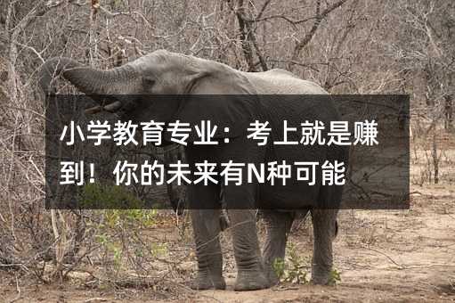 С�W�������I�����Ͼ���ٍ�������δ����N�N����