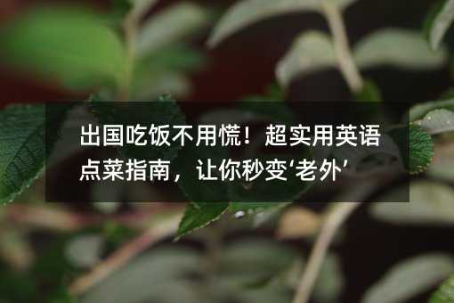 ����(gu��)����ûţ�����(sh��)��Ӣ�Z(y��)�c(di��n)��ָ�ϣ�׌����׃�����⡯