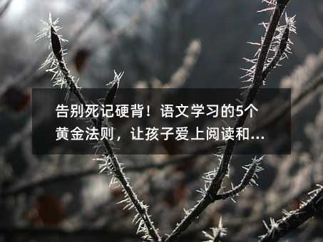 告別死記硬背!語(yǔ)文學(xué)習(xí)的5個(gè)黃金法則,讓孩子愛(ài)上閱讀和寫(xiě)作