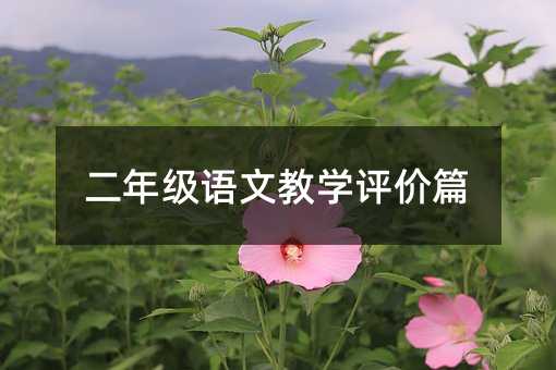 二年級語文教學評價篇