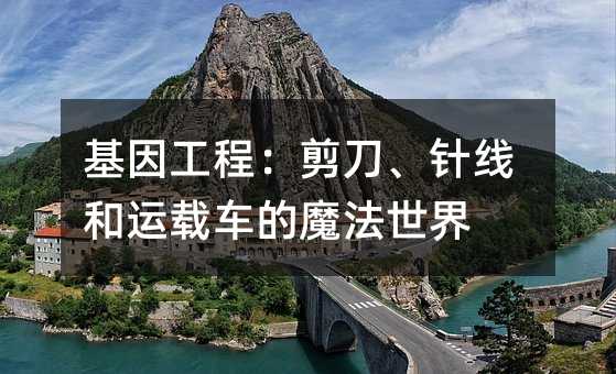 ���򹤳̣�������ᘾ����\(y��n)�d܇��ħ������