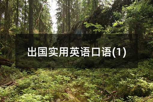 ��������Ӣ�Z���Z(1)