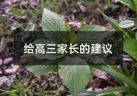 �o�������L�Ľ��h