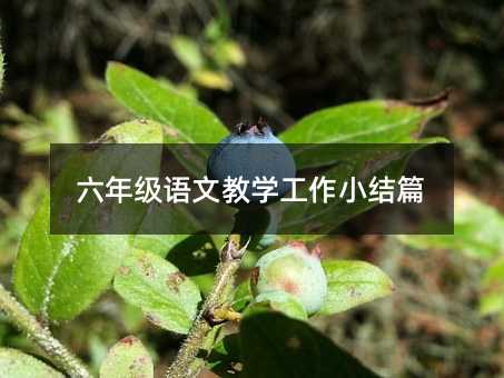 ���꼉�Z�Ľ̌W����С�Yƪ