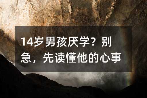 14�q�к����W���e�������x����������