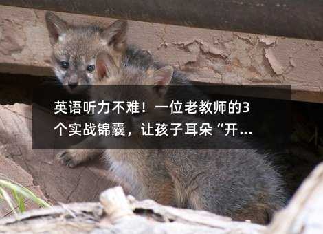 Ӣ�Z �����y��һλ�Ͻ̎���3������(zh��n)�\�ң�׌���Ӷ��䡰�_�[��