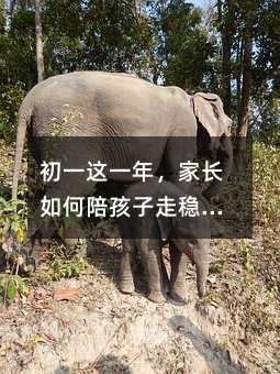 ��һ�@һ�꣬���L(zh��ng)����㺢���߷�(w��n)���L(zh��ng)��һ��