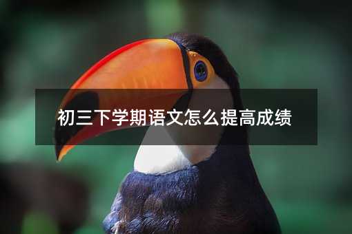 �����W���Z����ô��߳ɿ�